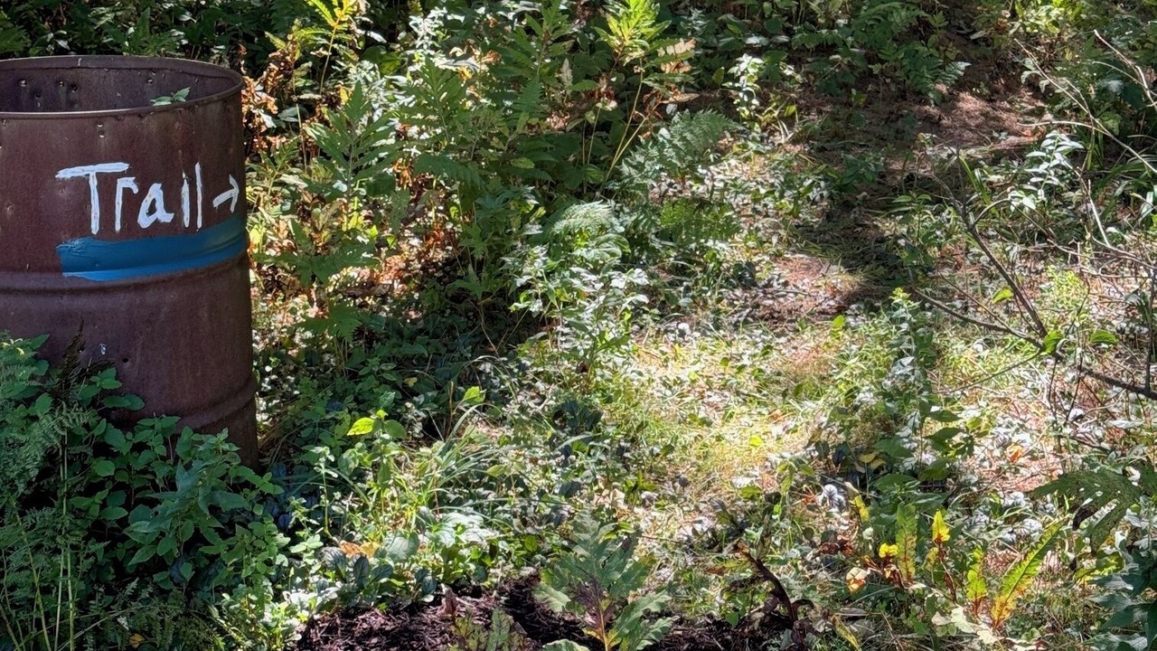 Photo of Outdoor in Maplecrest