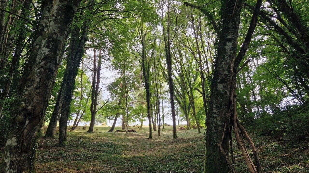 Photo of Outdoor in Lapleau