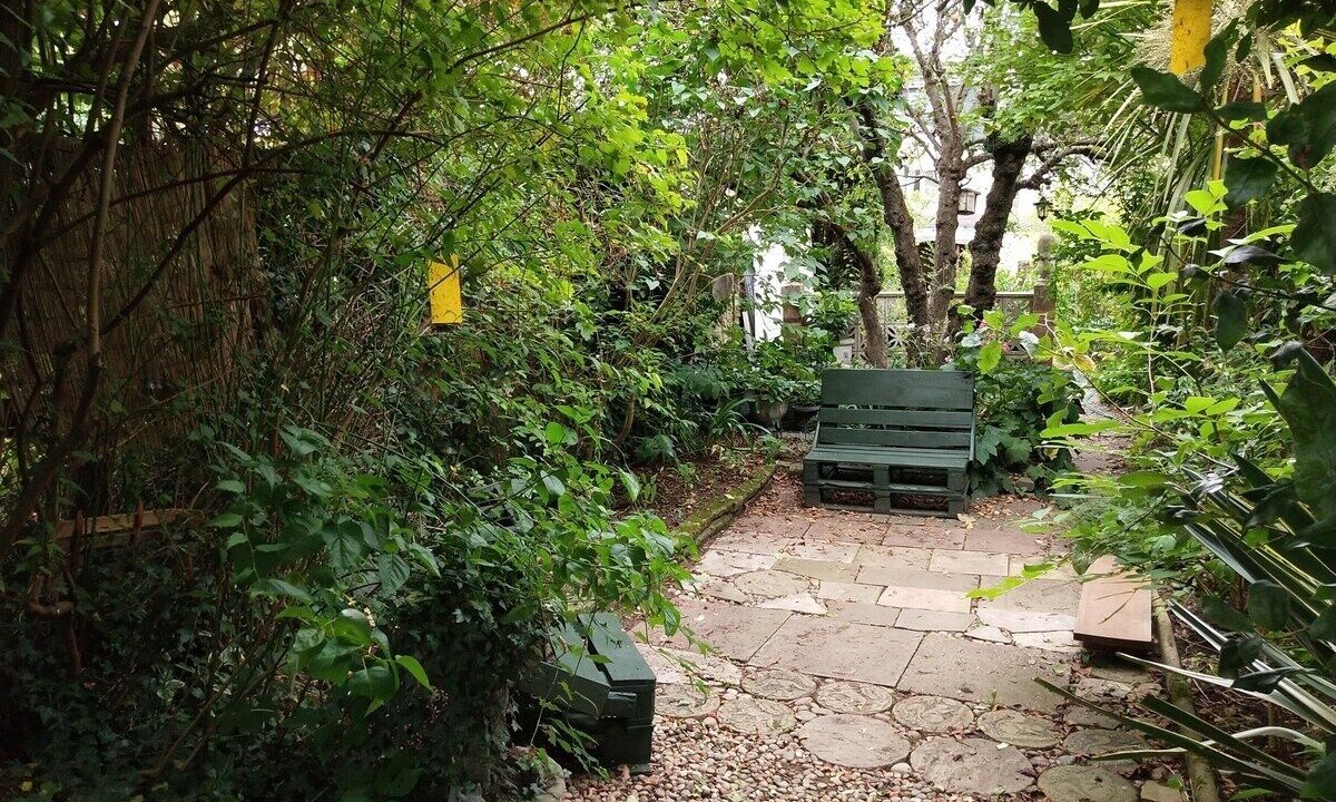 Photo of Outdoor in Cambridge