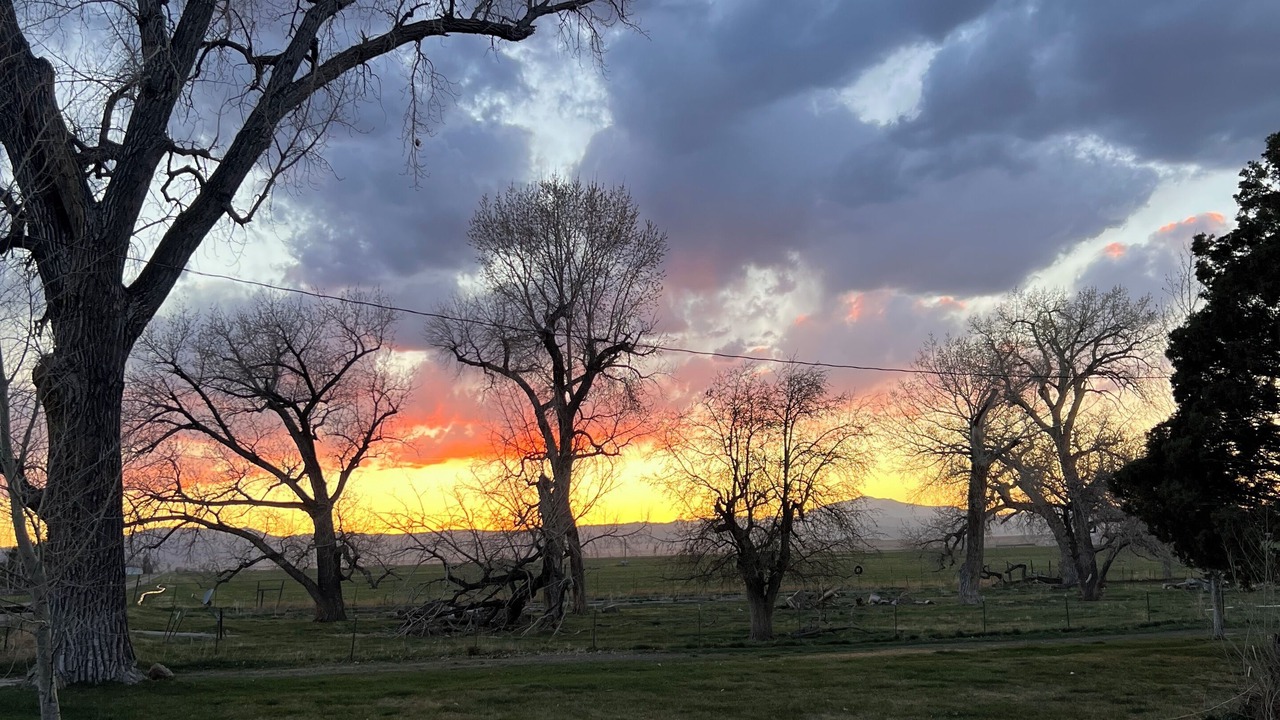 Photo of Outdoor in Wheatland