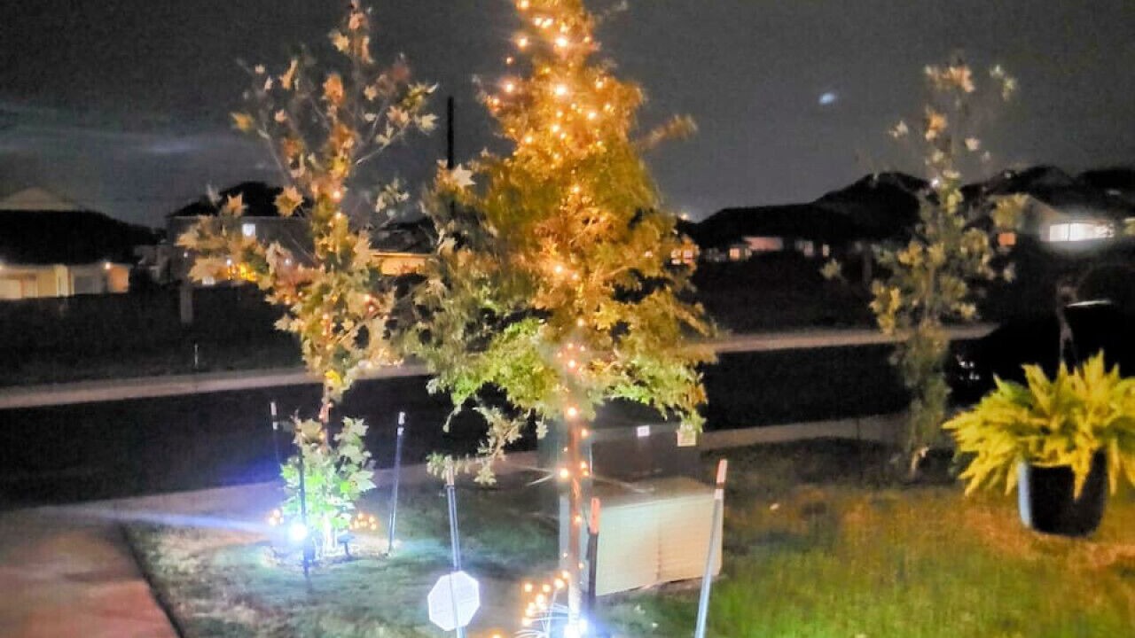 Photo of Outdoor in Southside