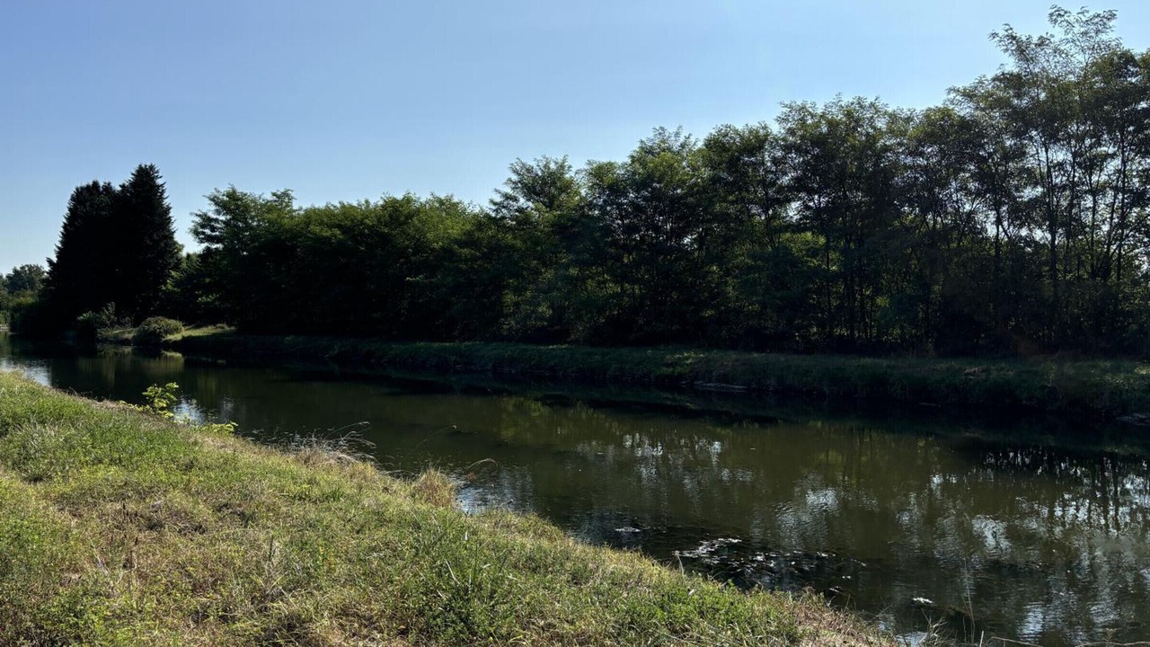 Photo of Others in Diou