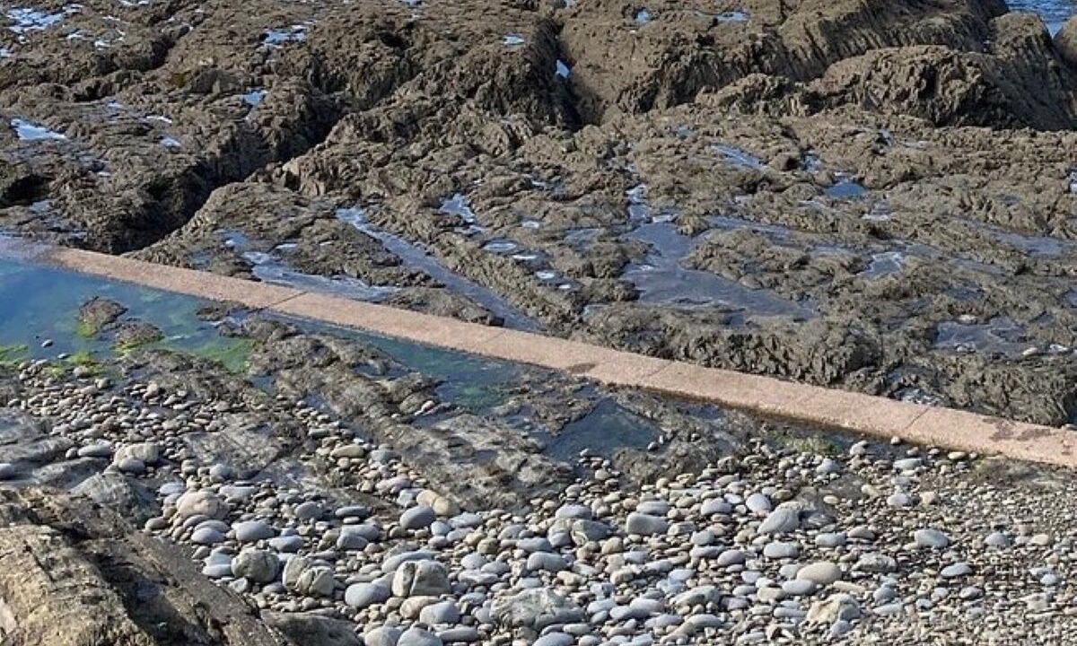 Photo of Others in Westward Ho