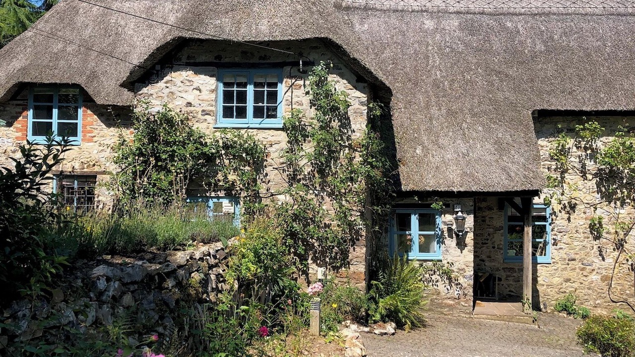 Photo of Outdoor in Cotleigh