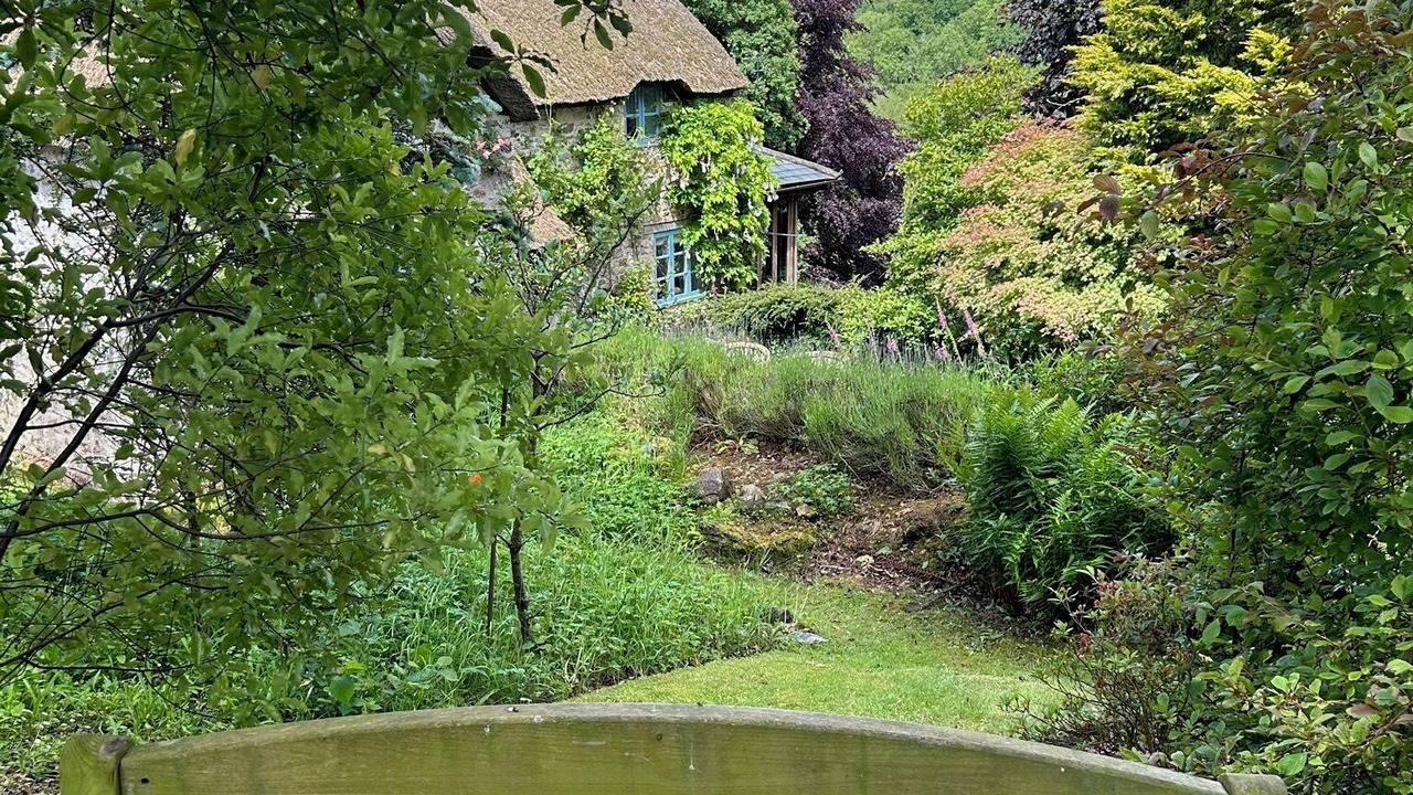 Photo of Outdoor in Cotleigh