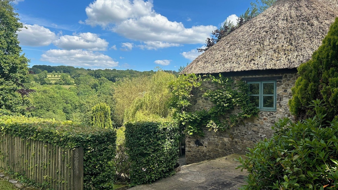 Photo of Outdoor in Cotleigh