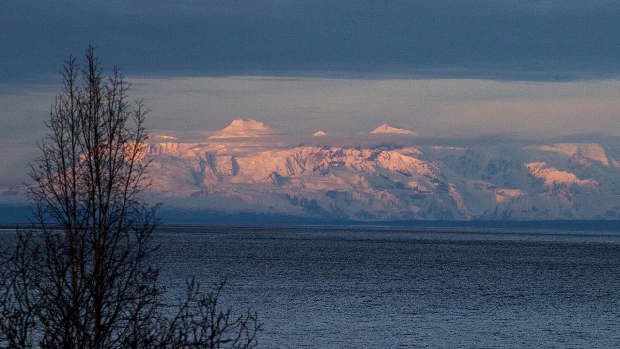 Photo of Others in Inner Sunset