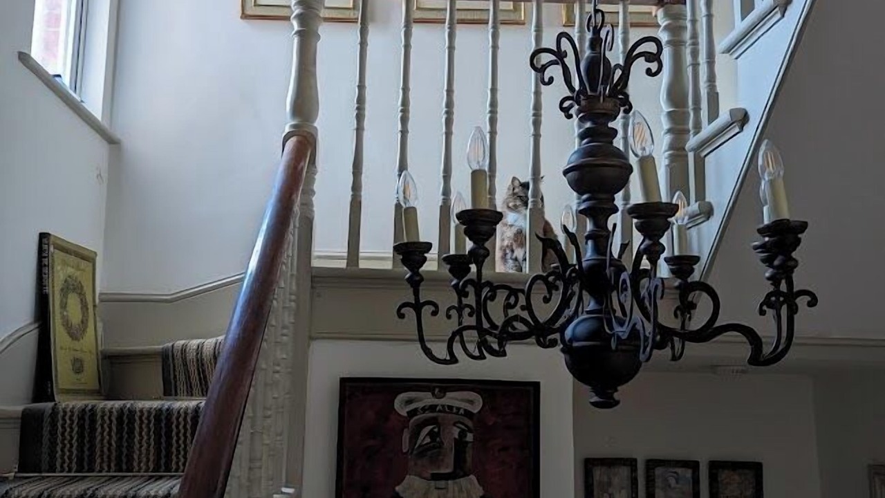 Photo of Outdoor in Lambeth