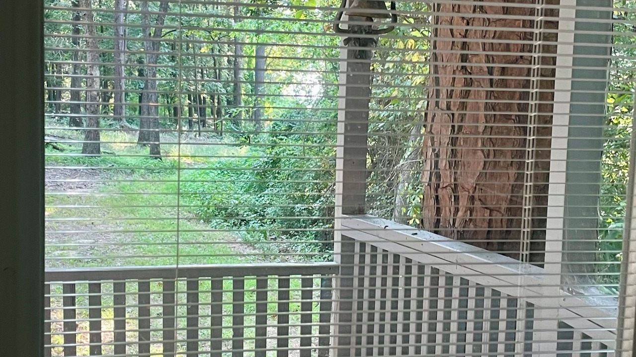 Photo of Outdoor in Flint