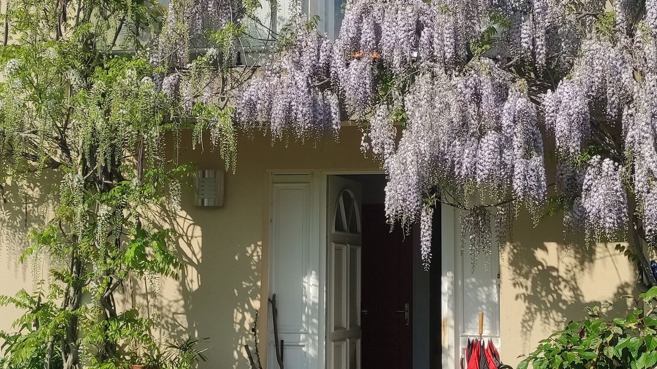 Photo of Outdoor in Belbeuf