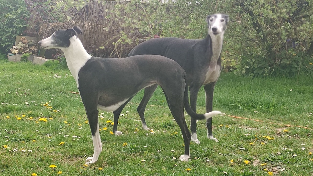 Photo of Outdoor in Belbeuf