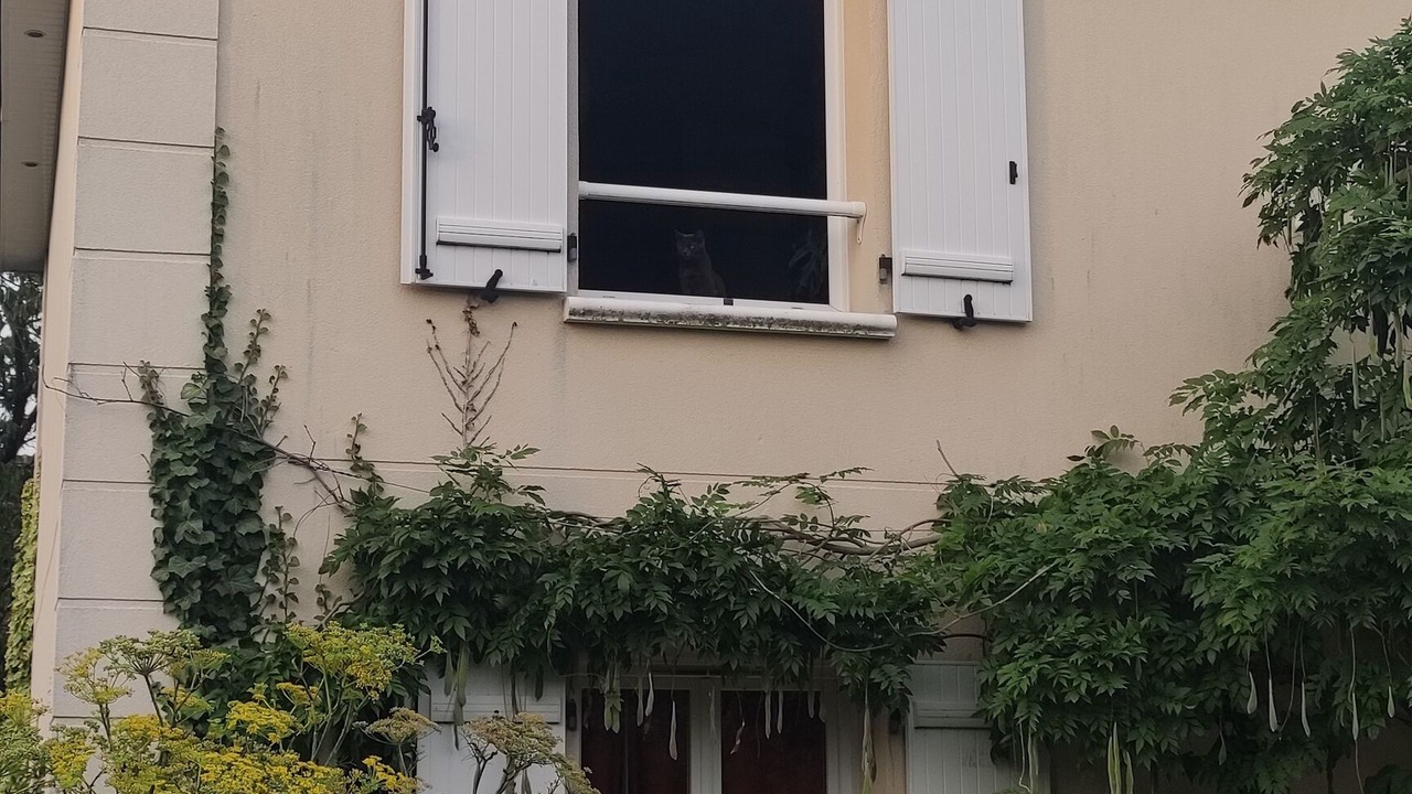 Photo of Outdoor in Belbeuf