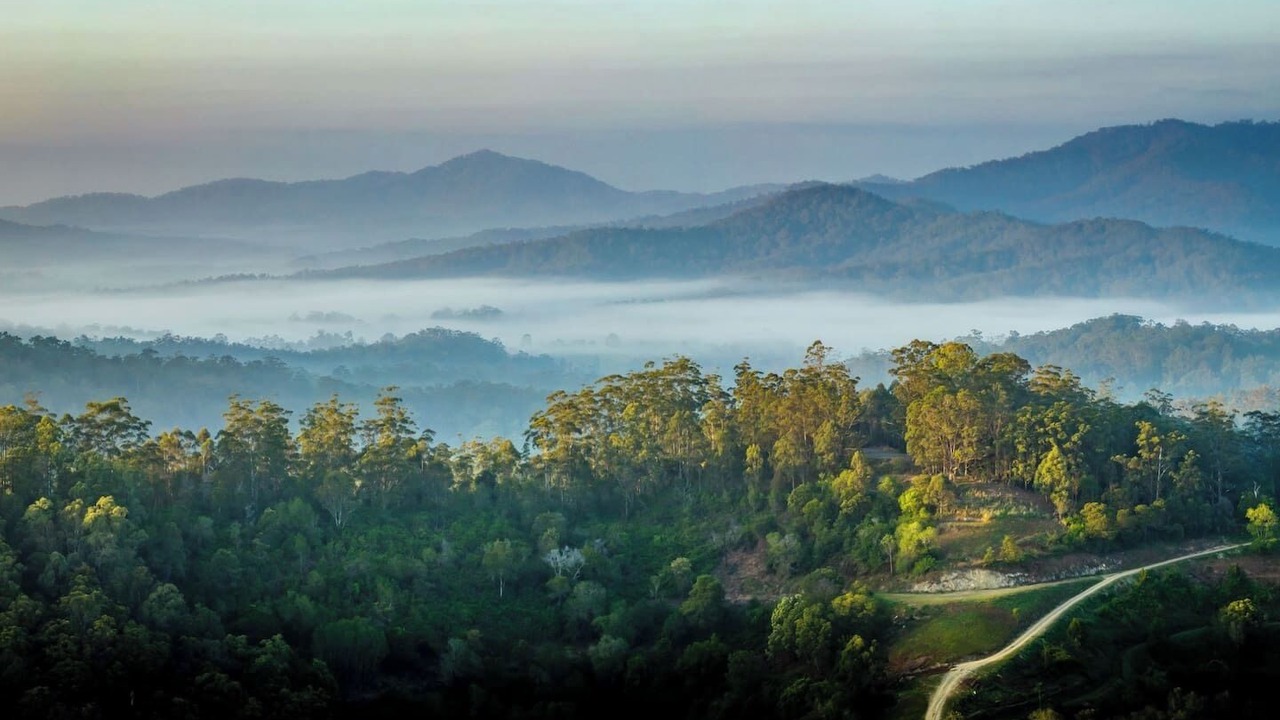 Photo of Outdoor in Bellingen