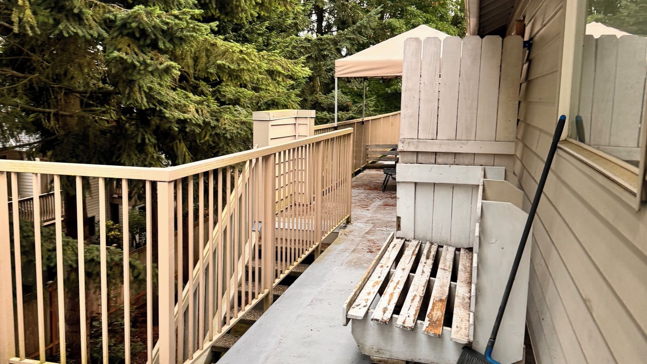 Photo of Others in Holly