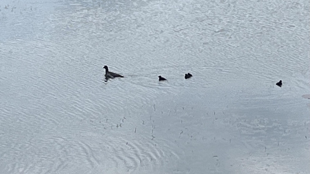 Photo of Others in Winestead