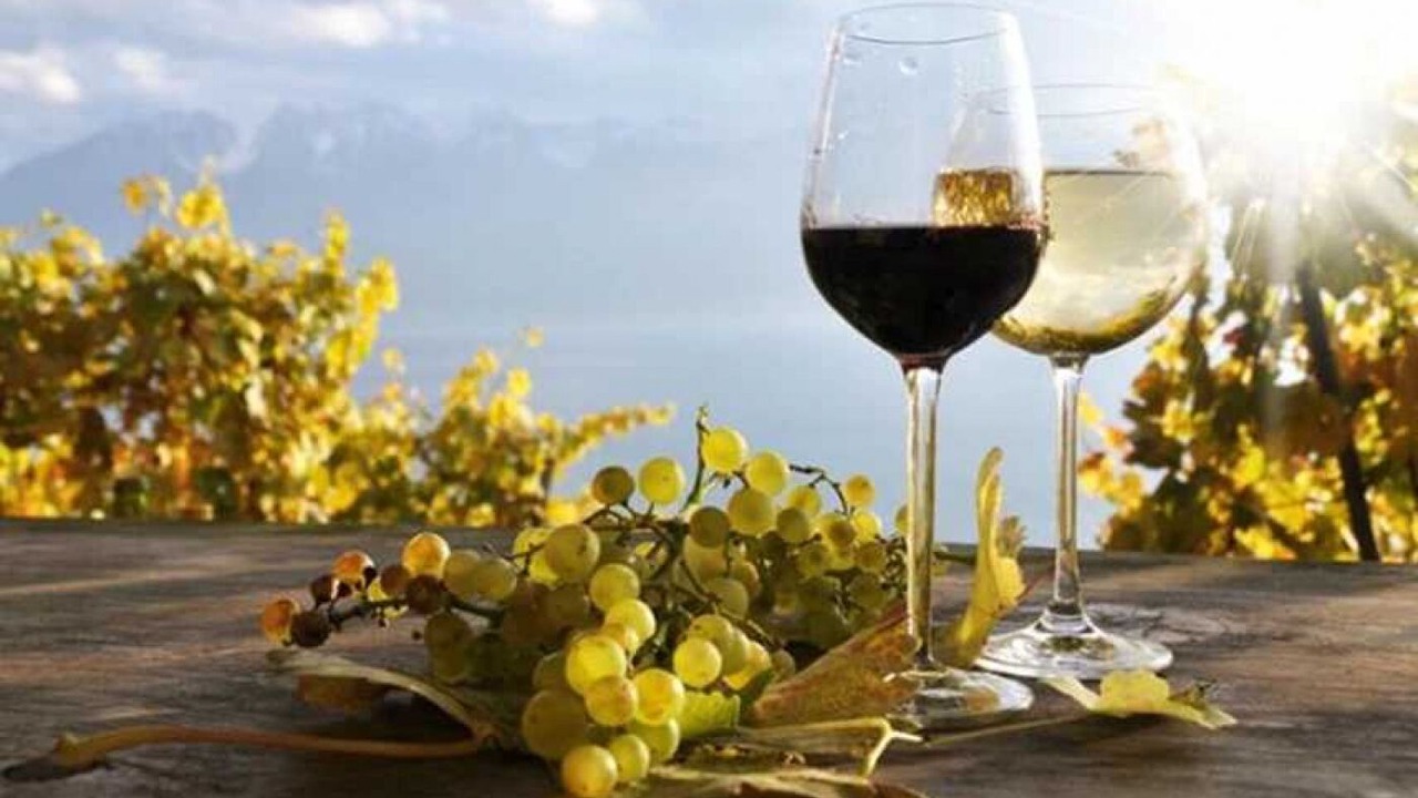 Photo of Outdoor in Villeveyrac