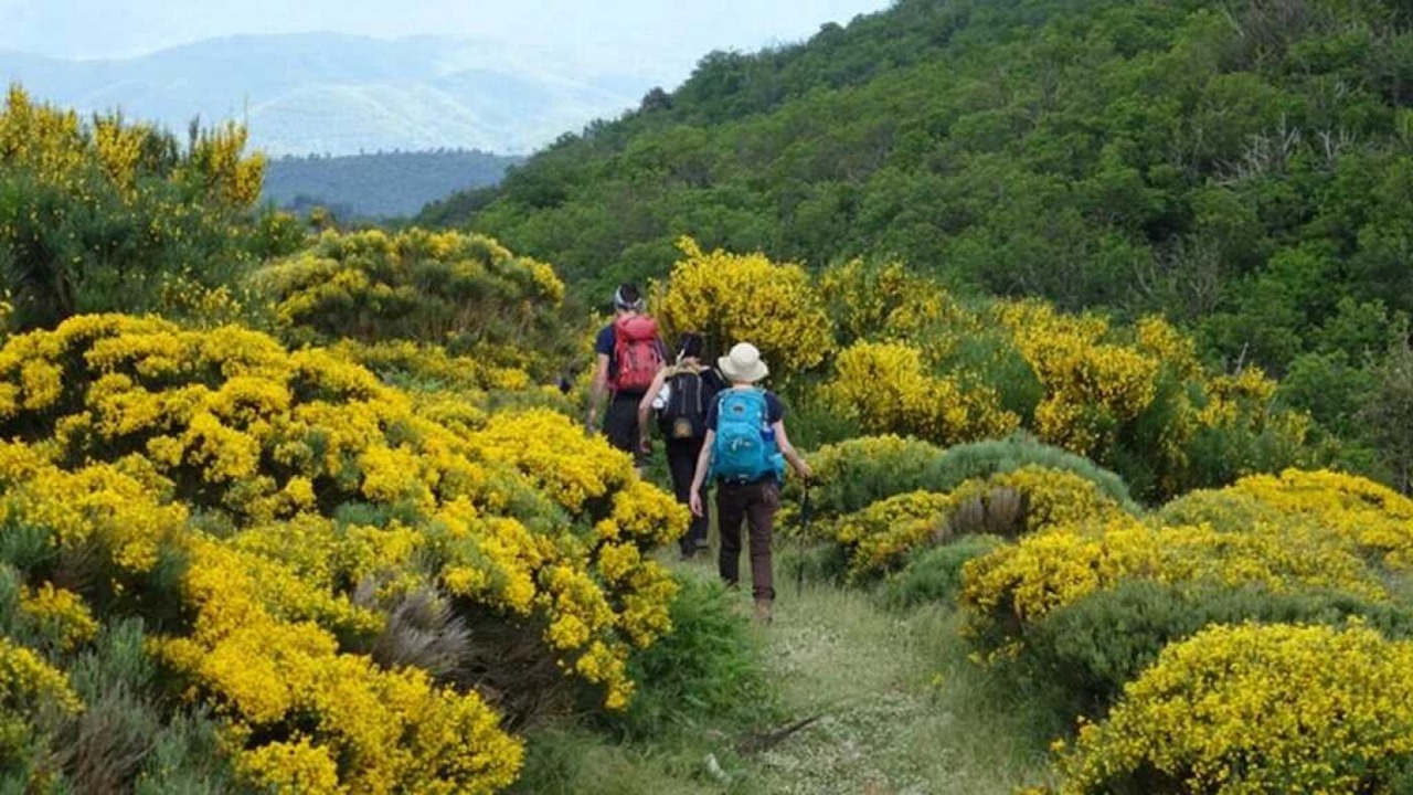 Photo of Outdoor in Villeveyrac