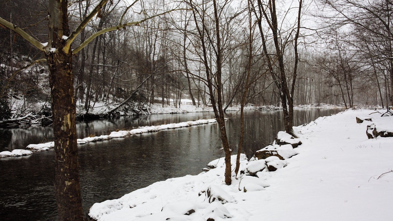 Photo of Others in Burnsville