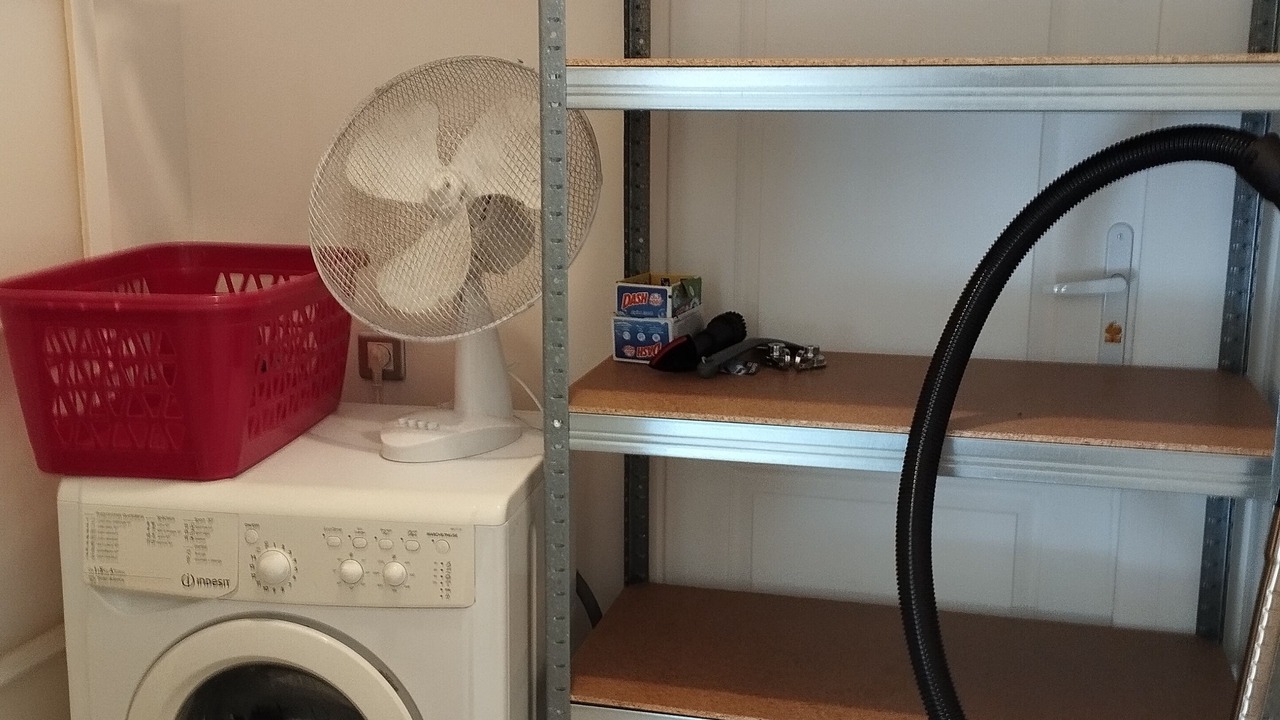 Photo of Others in Pia