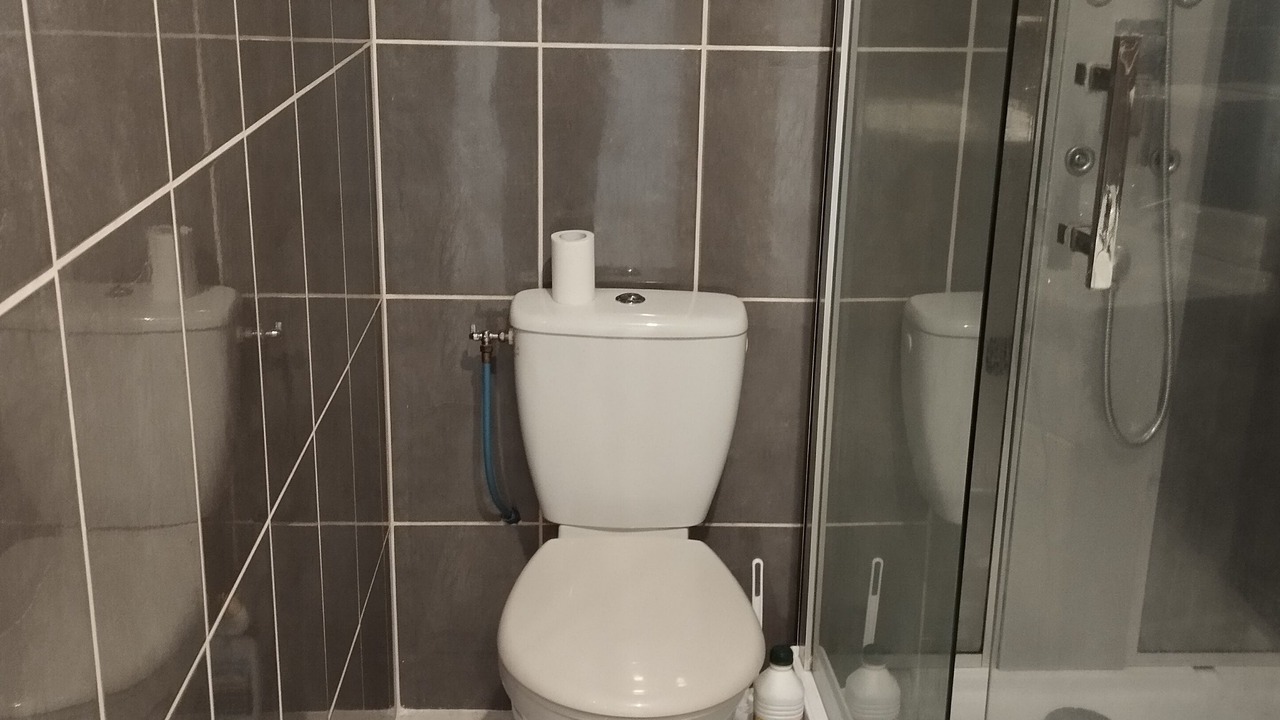 Photo of Others in Pia