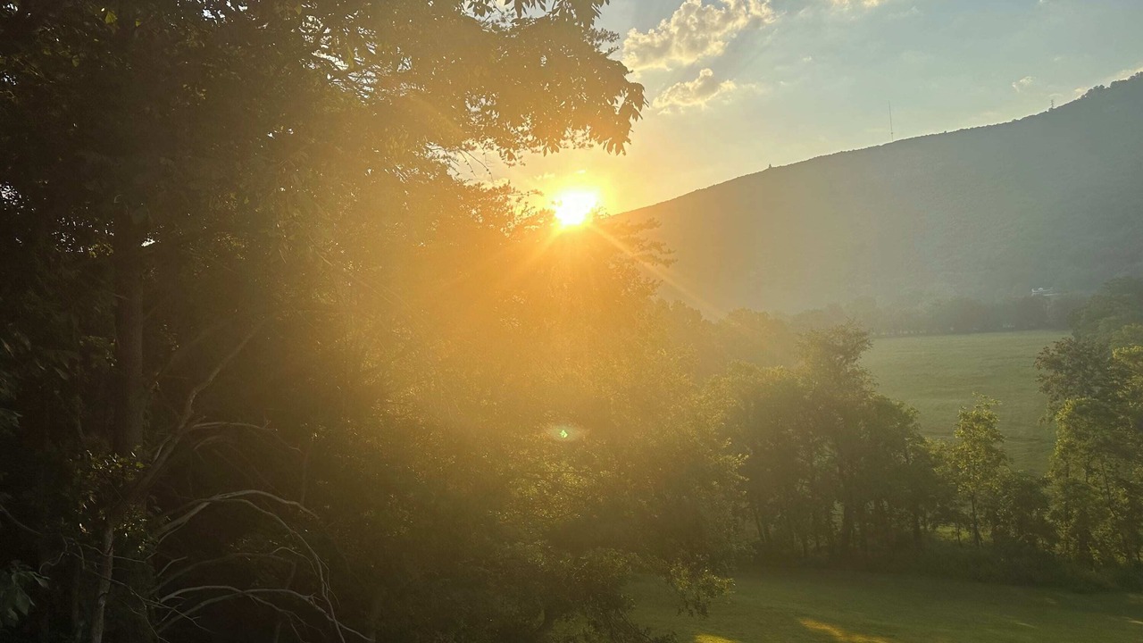 Photo of Others in Wildwood