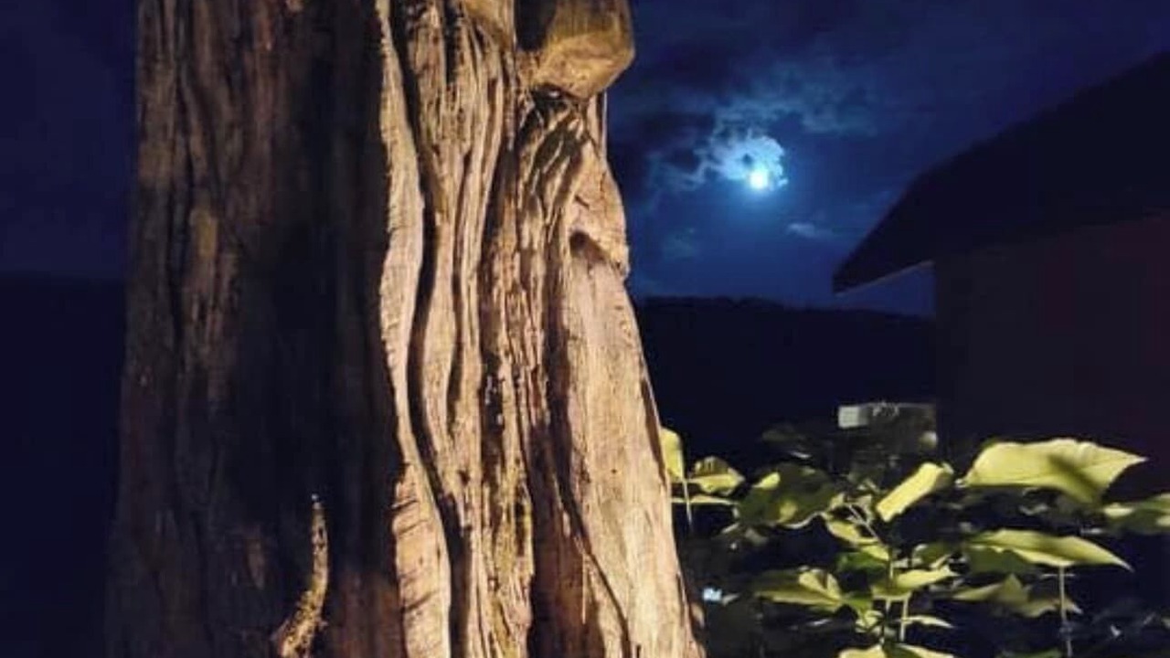 Photo of Others in Wildwood