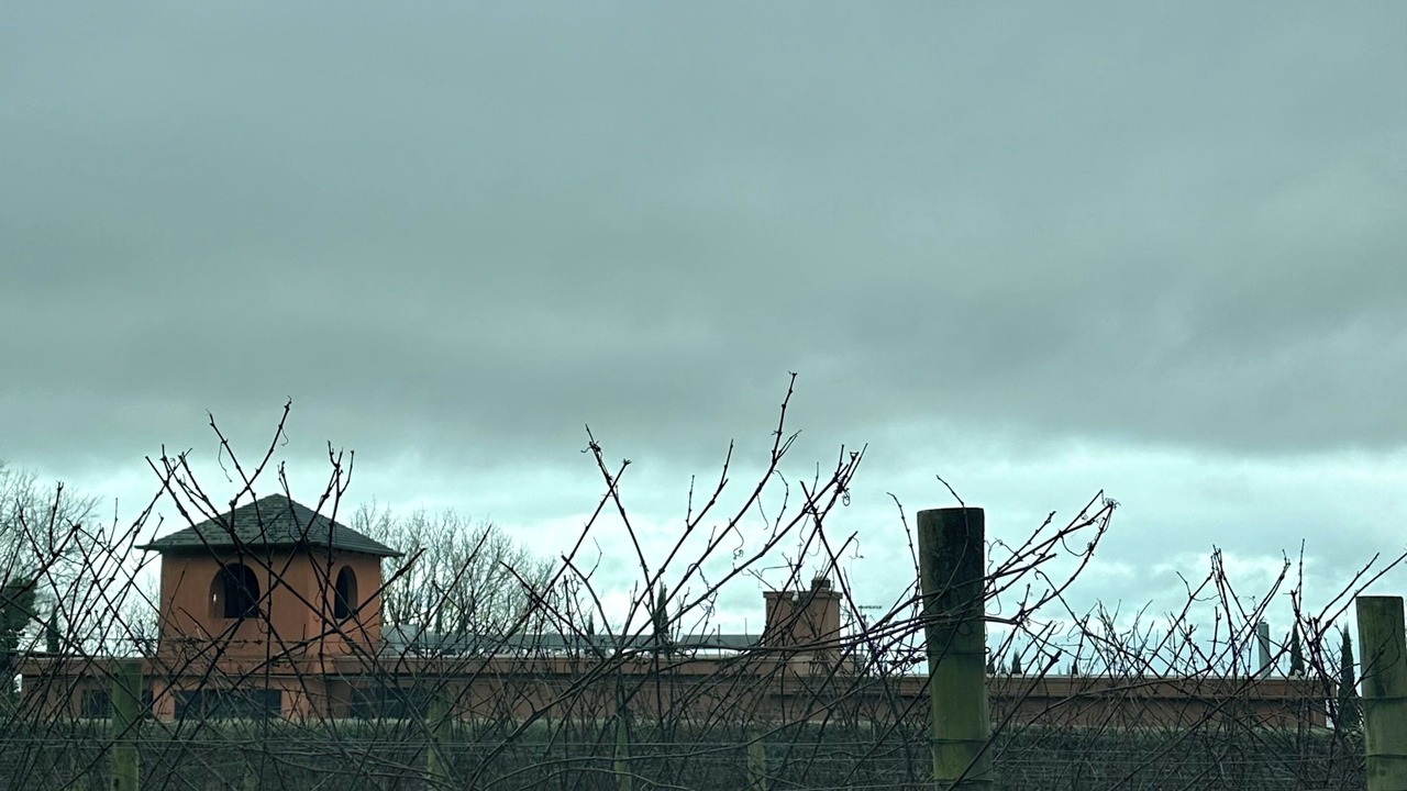 Photo of Outdoor in Red Hill