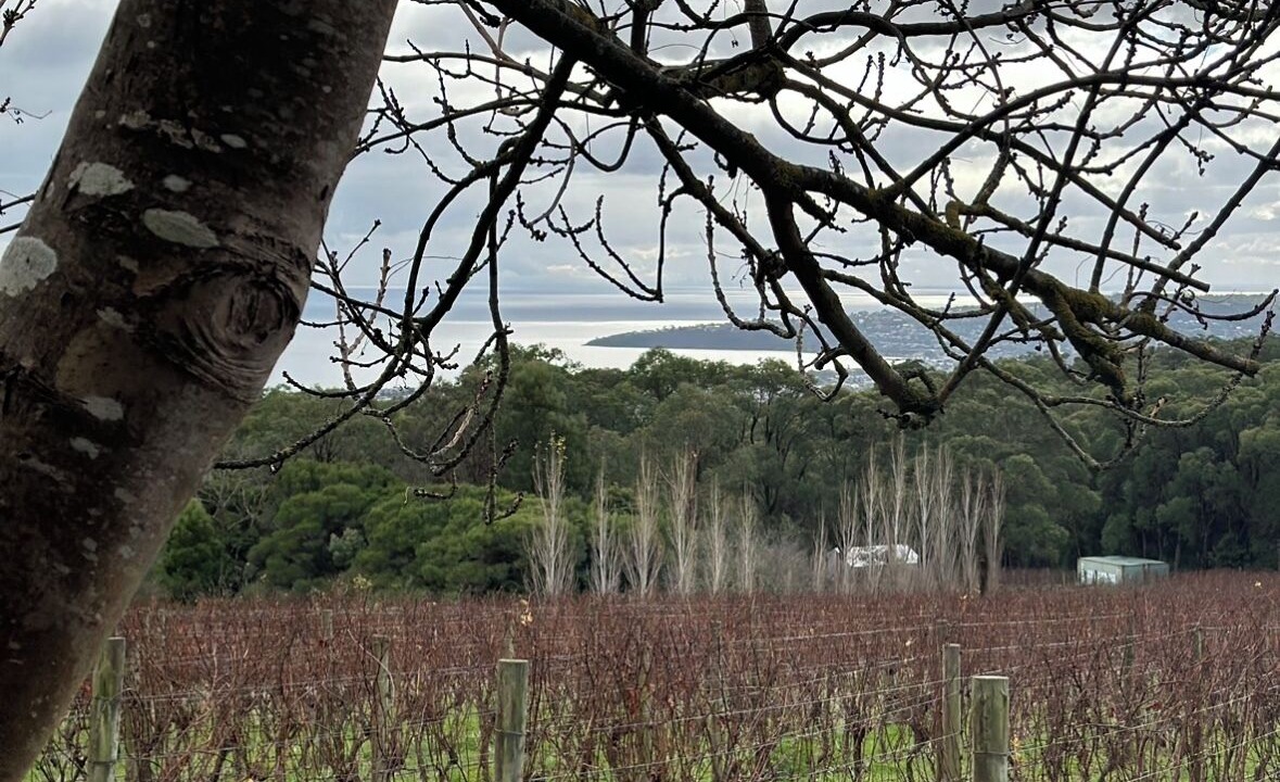 Photo of Others in Red Hill