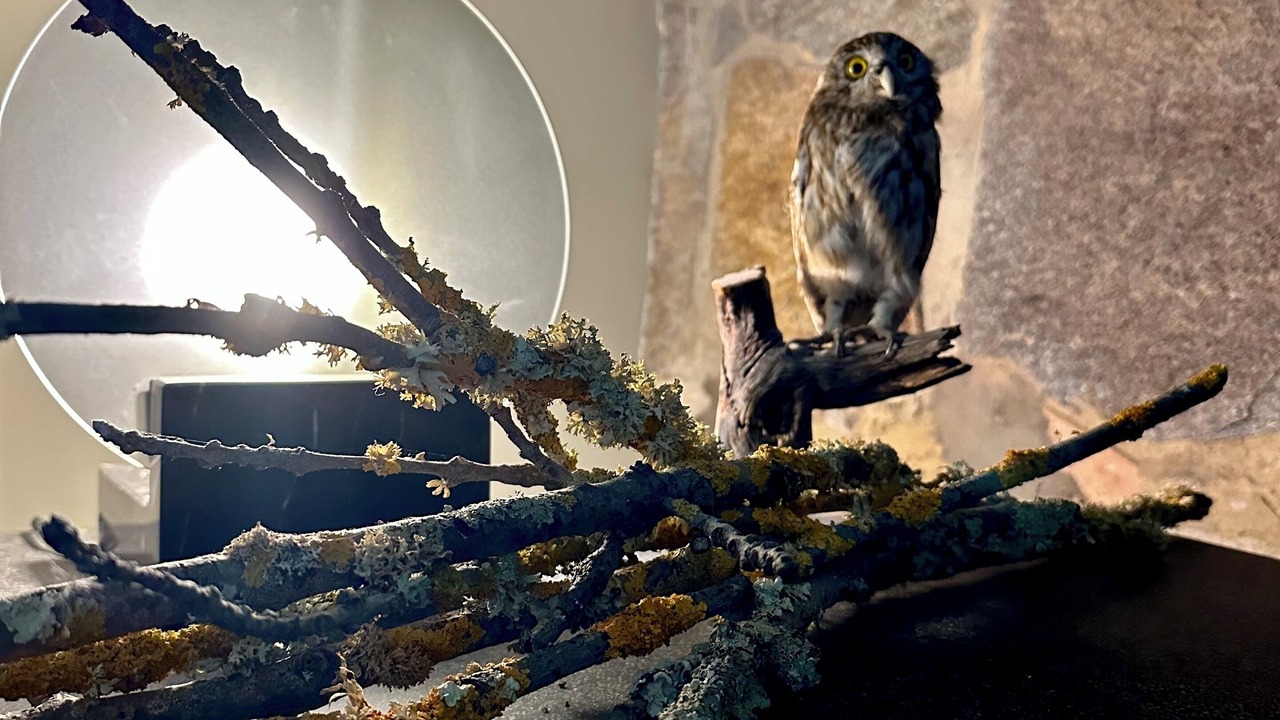 Photo of Others in Red Hill