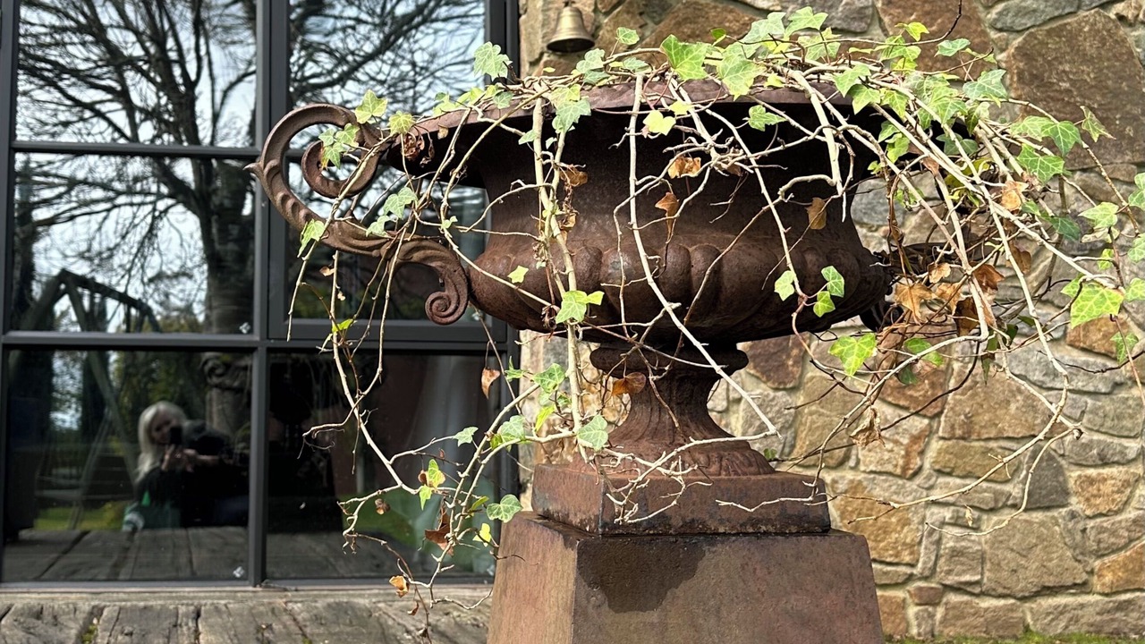 Photo of Outdoor in Red Hill