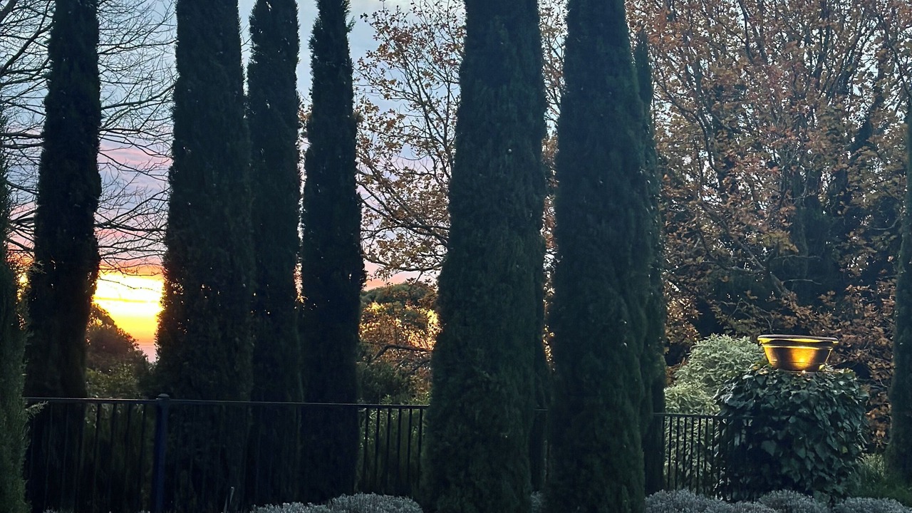 Photo of Outdoor in Red Hill