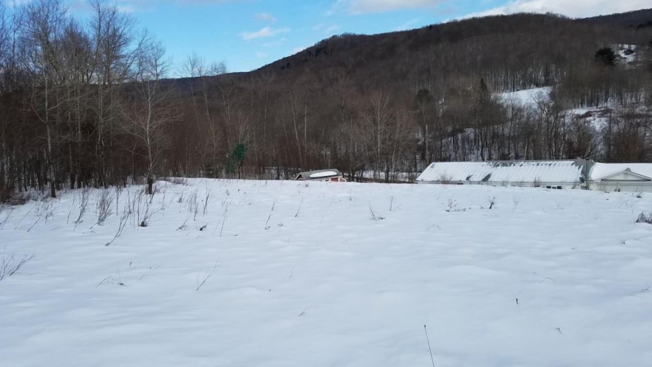 Photo of Others in Hamden