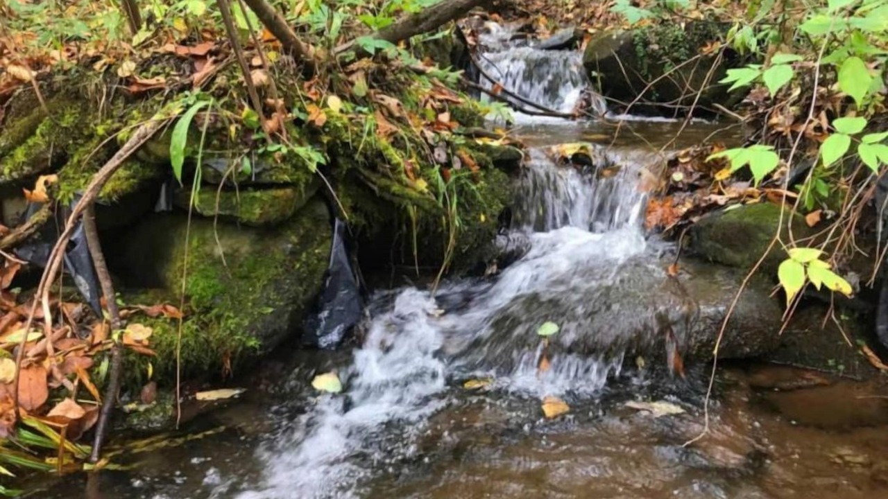 Photo of Outdoor in Hamden