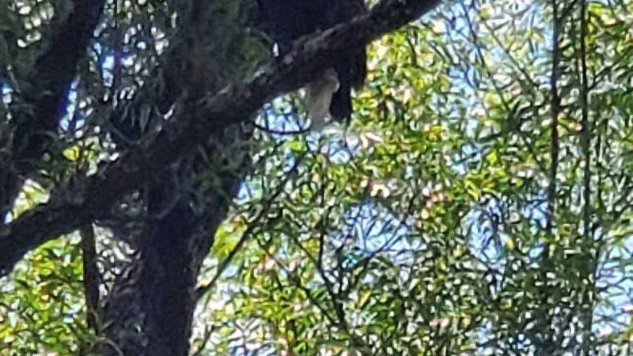 Photo of Others in Hamden