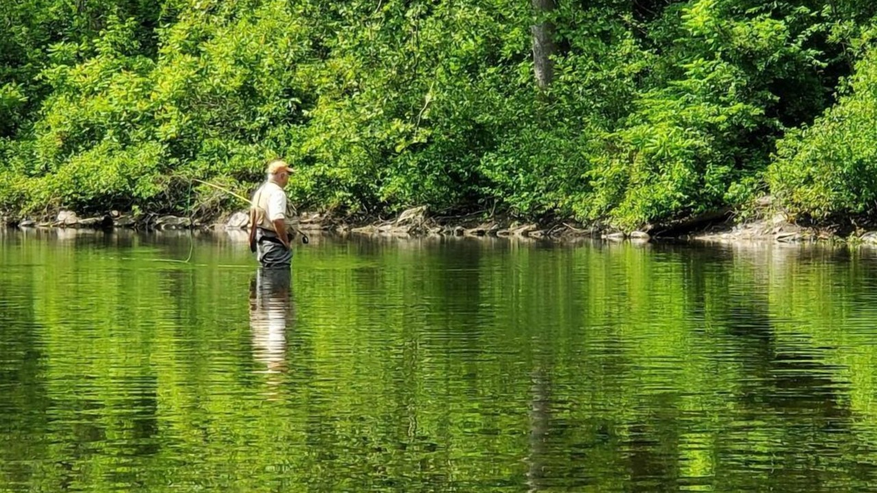 Photo of Others in Hamden