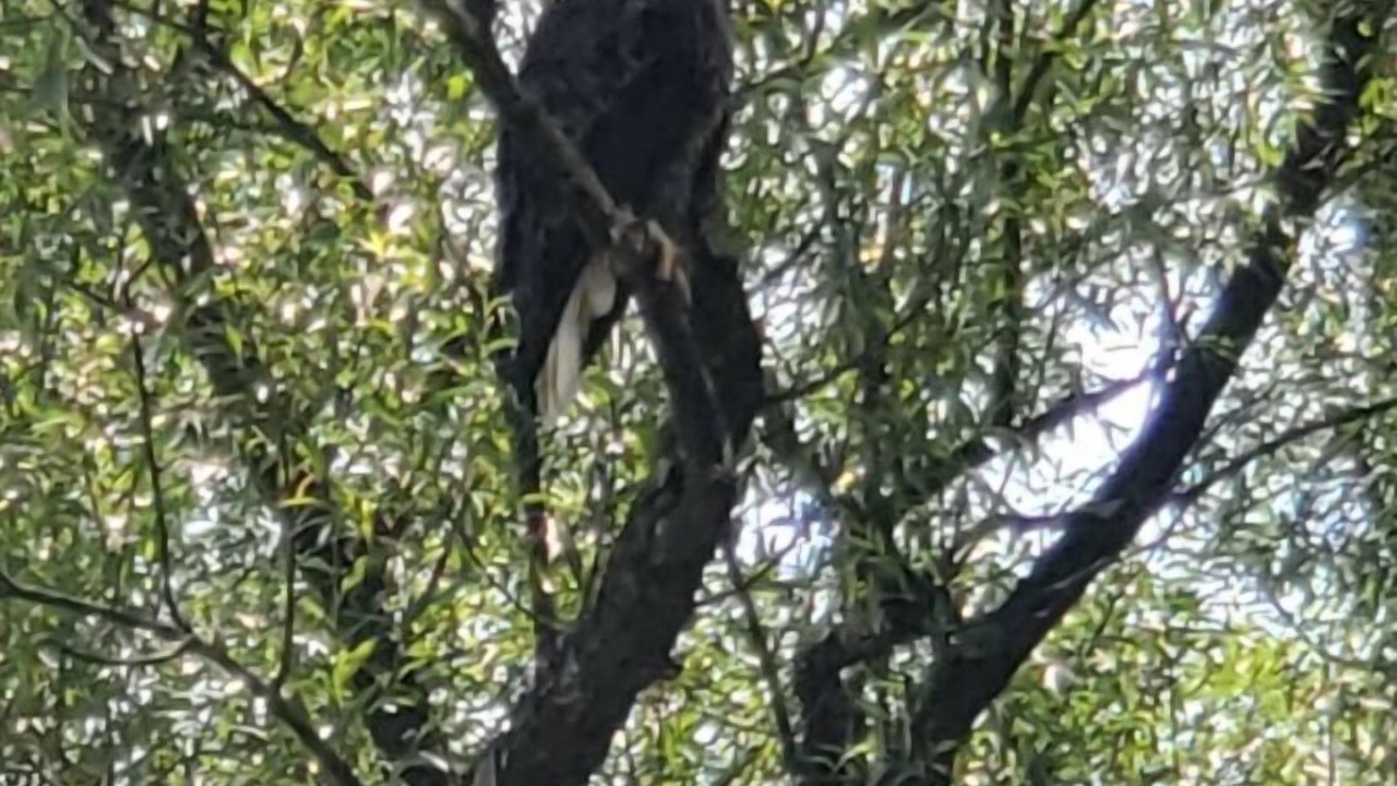 Photo of Others in Hamden