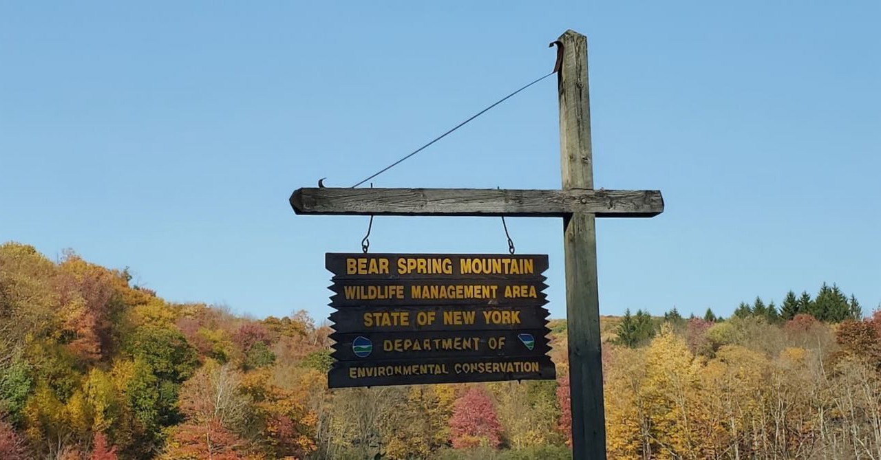 Photo of Others in Hamden