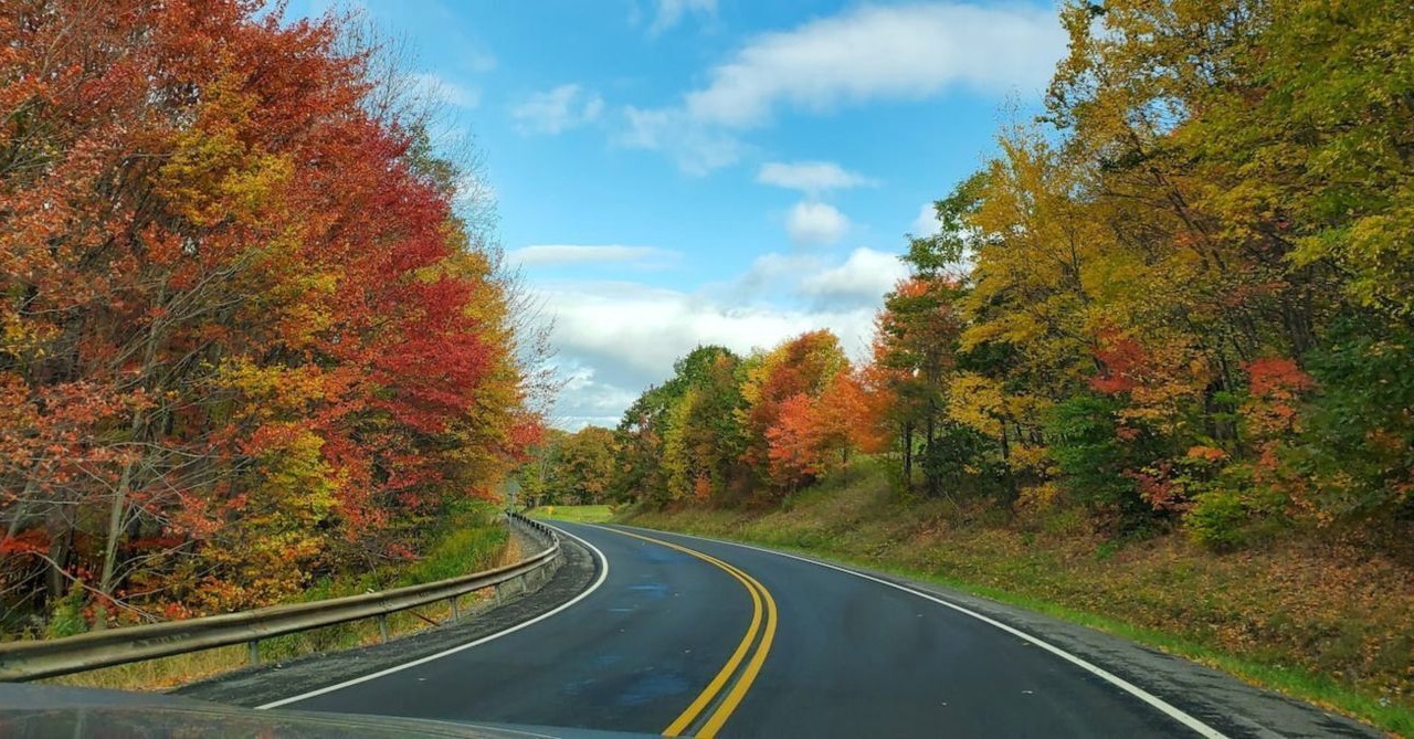 Photo of Others in Hamden