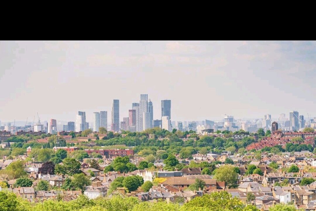 Photo of Others in Forest Hill