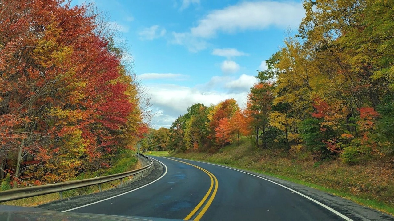 Photo of Outdoor in Hamden