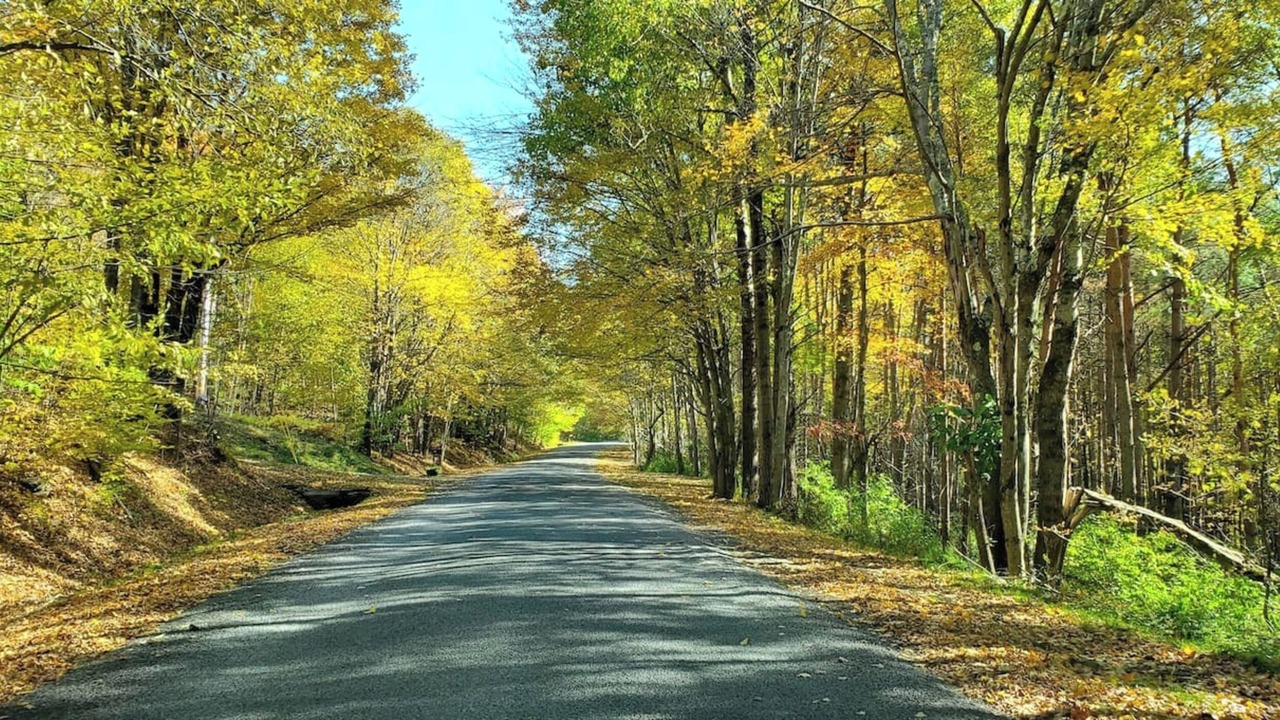 Photo of Outdoor in Hamden