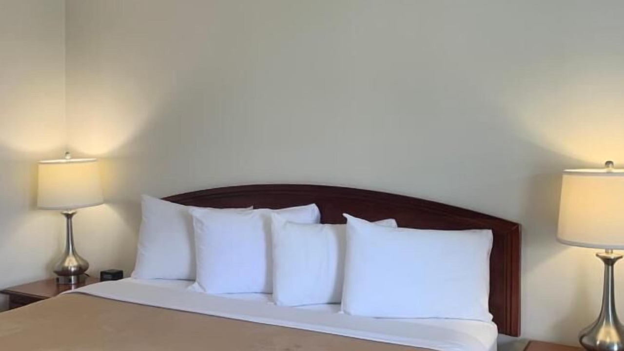 Photo of Others in West Hatfield