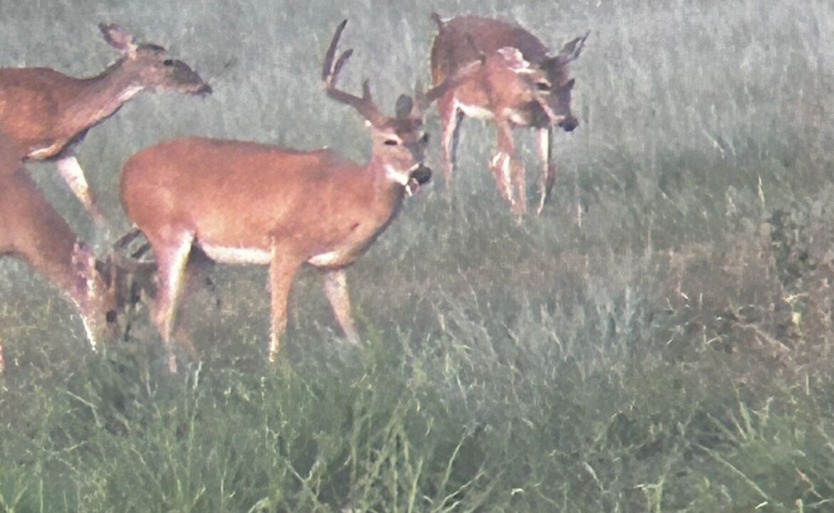 Photo of Outdoor in Weatherford