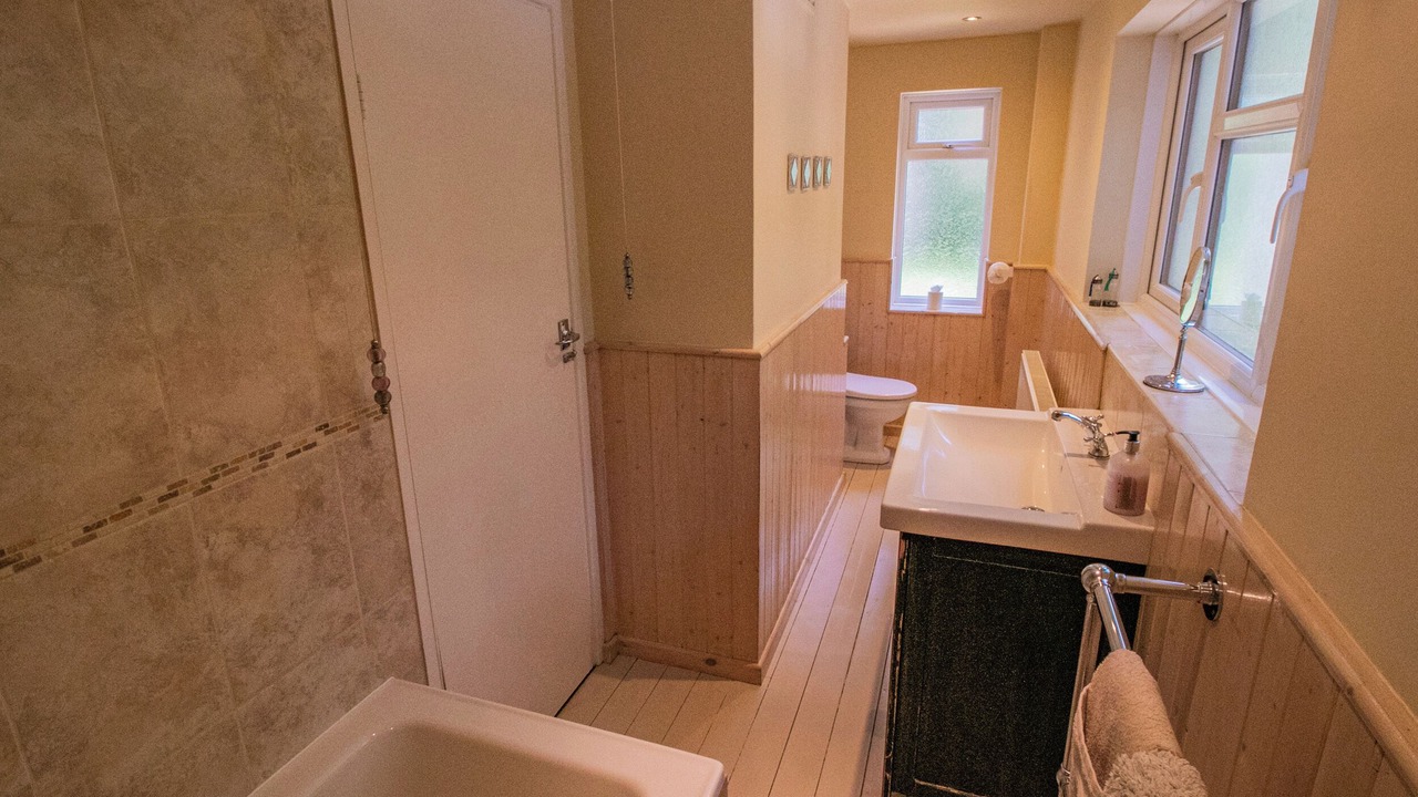 Photo of Others in New Forest District