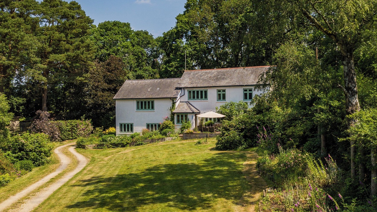 Photo of Outdoor in New Forest District