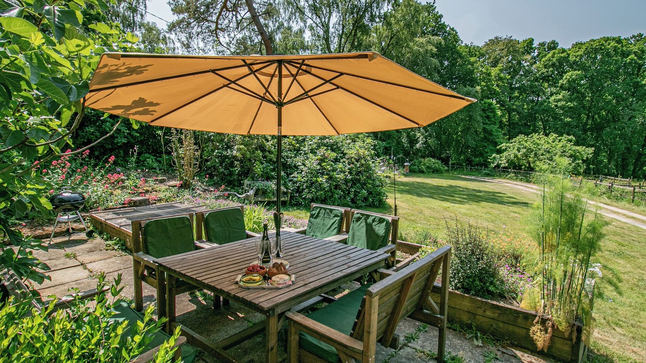 Photo of Outdoor in New Forest District