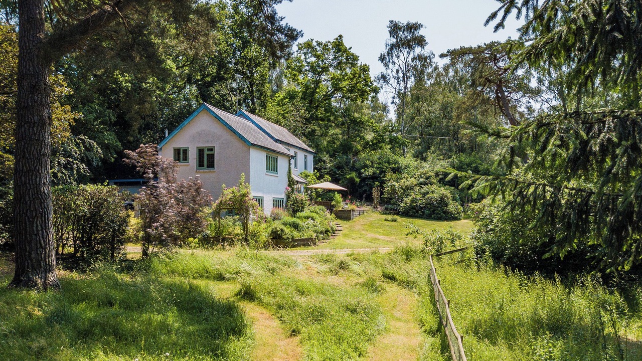 Photo of Outdoor in New Forest District