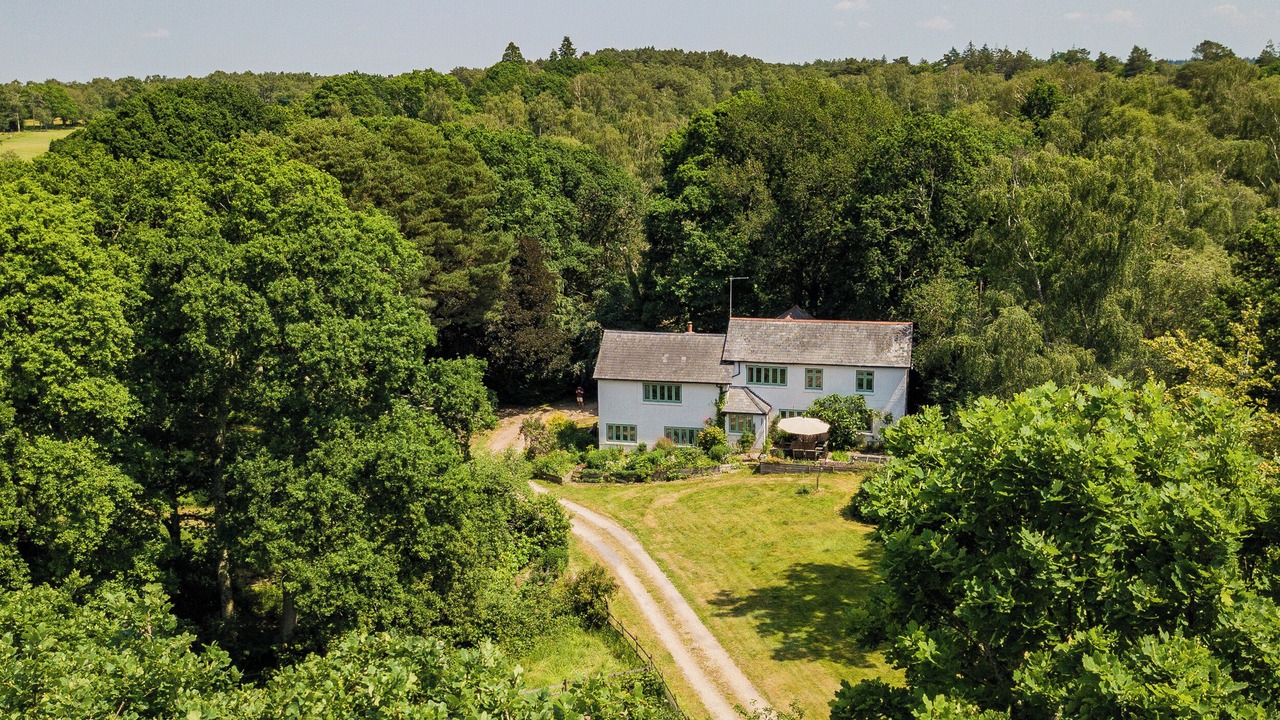 Photo of Outdoor in New Forest District