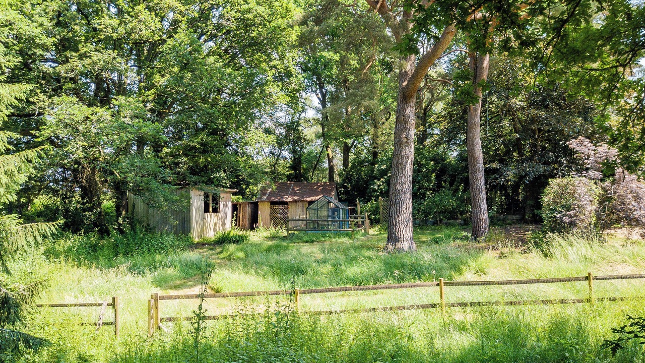 Photo of Outdoor in New Forest District