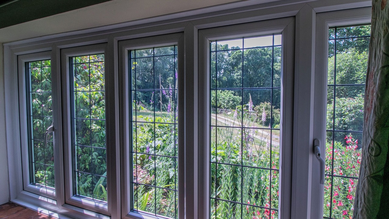 Photo of Others in New Forest District